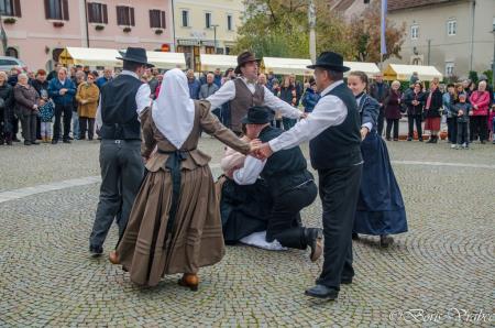 Utrinki z Martinovega sejma in blagoslova vina 3